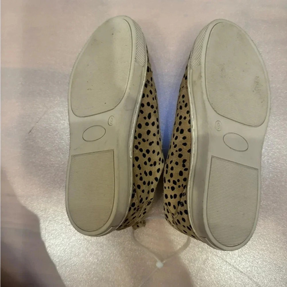 Piper Finn Kid Size 6 Leather Cheetah Low Top Sneakers (new) Display Model Pics - Picture 4 of 7